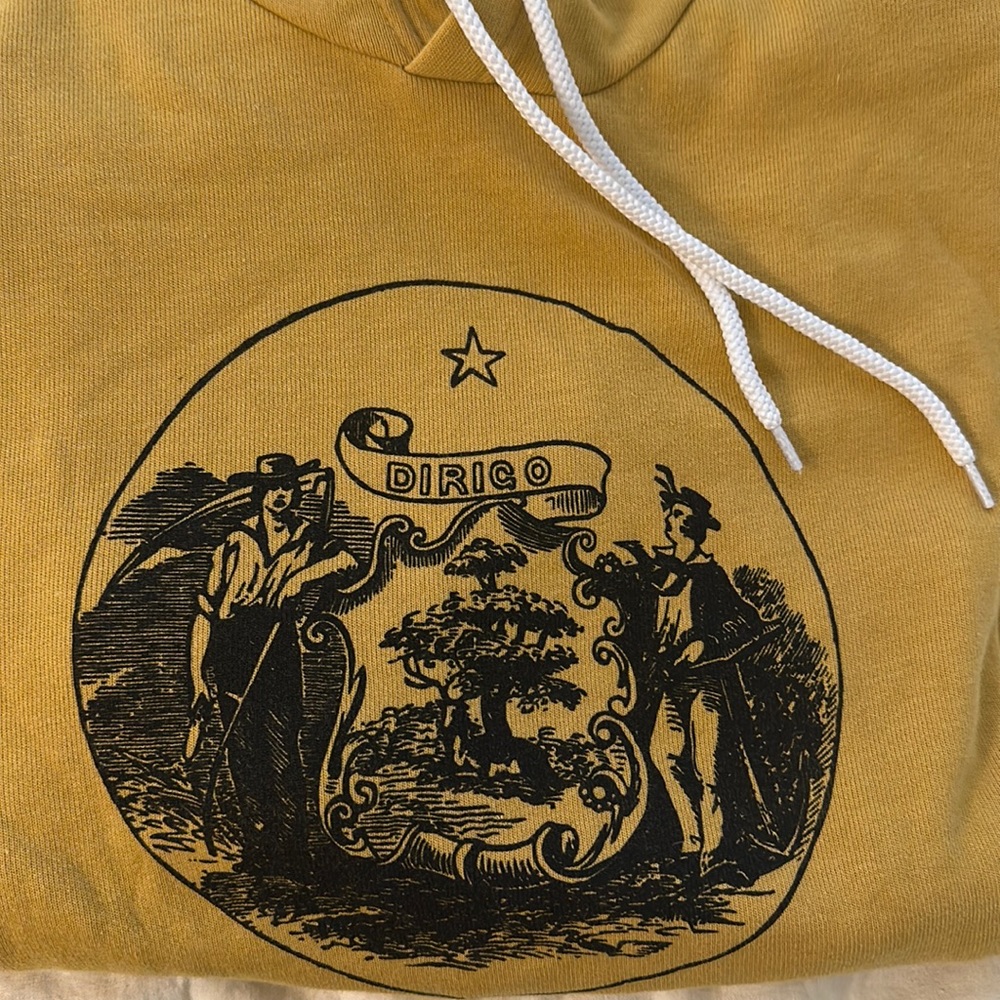Dirigo Maine State hoodie in Small